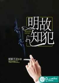 傅庭与宁婉的