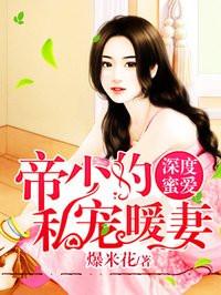 帝少的私宠暖妻免费全文私