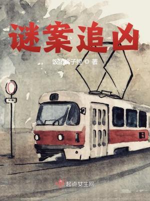 谜案追凶免费播放