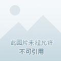 兽世狂妃
