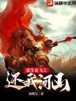 岳飞重生完结阅读