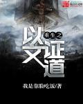 穿越之以文载道