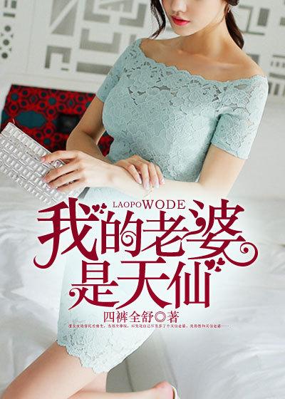 我的老婆是天仙免费阅读