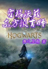 霍格沃兹的预言大师TXT