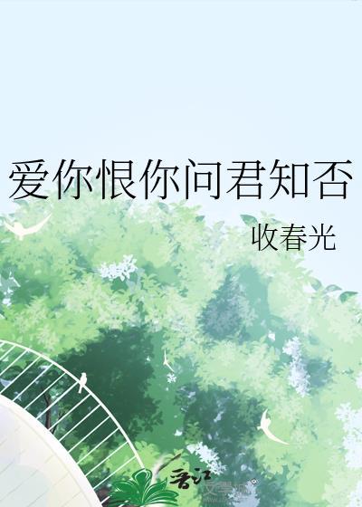 爱你恨你问君知否by收春光txt
