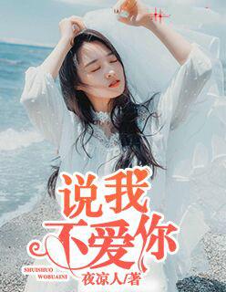 说你不爱我是什么歌