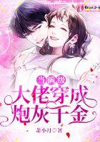 当满级大佬穿成了炮灰女配